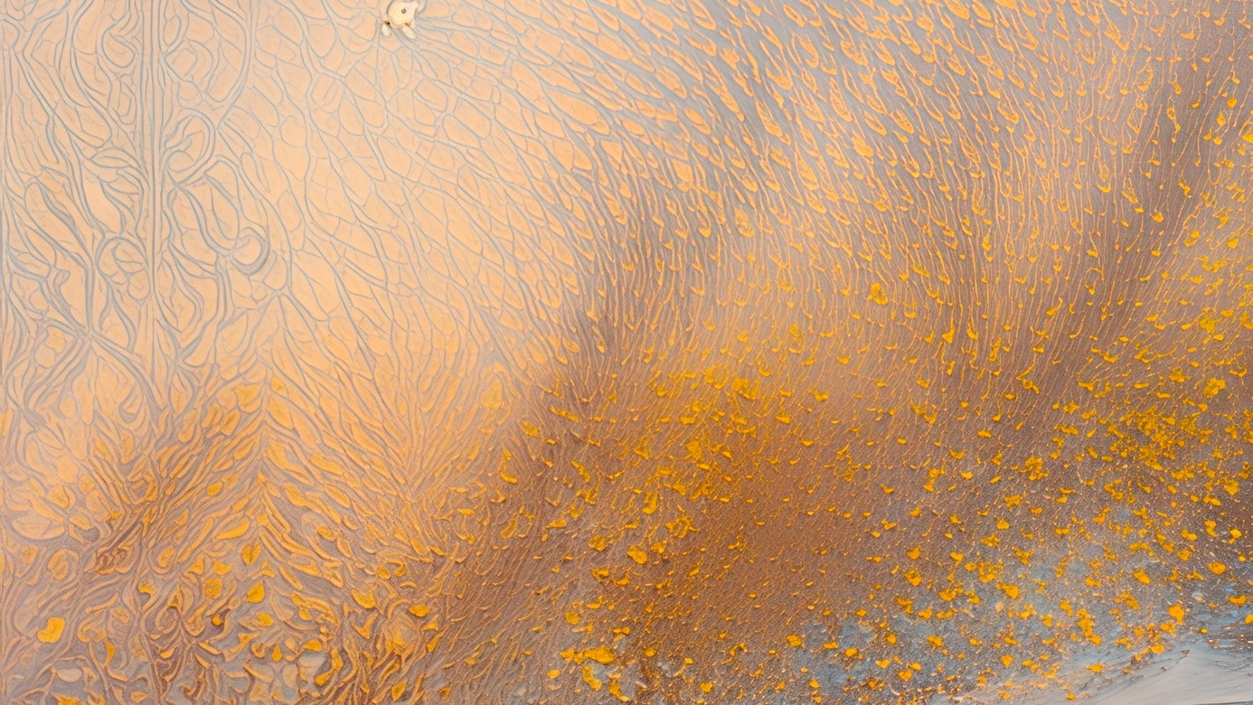 Oyster-shell macro study with flowing gray mineral patterns and gold flecks