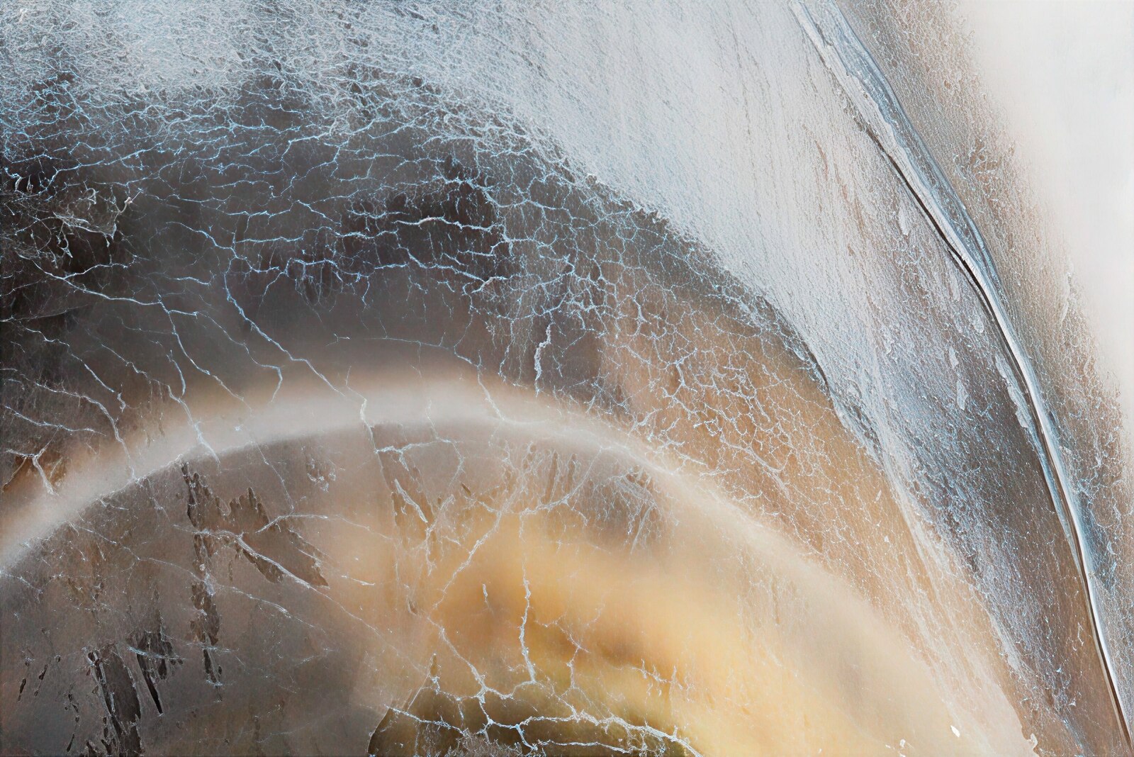 Pale blue, black, and honey-colored macro oyster-shell study