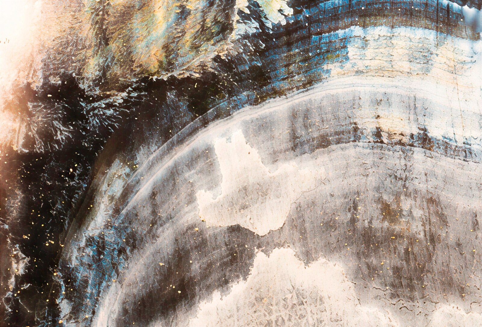 Blue, black, white, and gold macro oyster-shell study